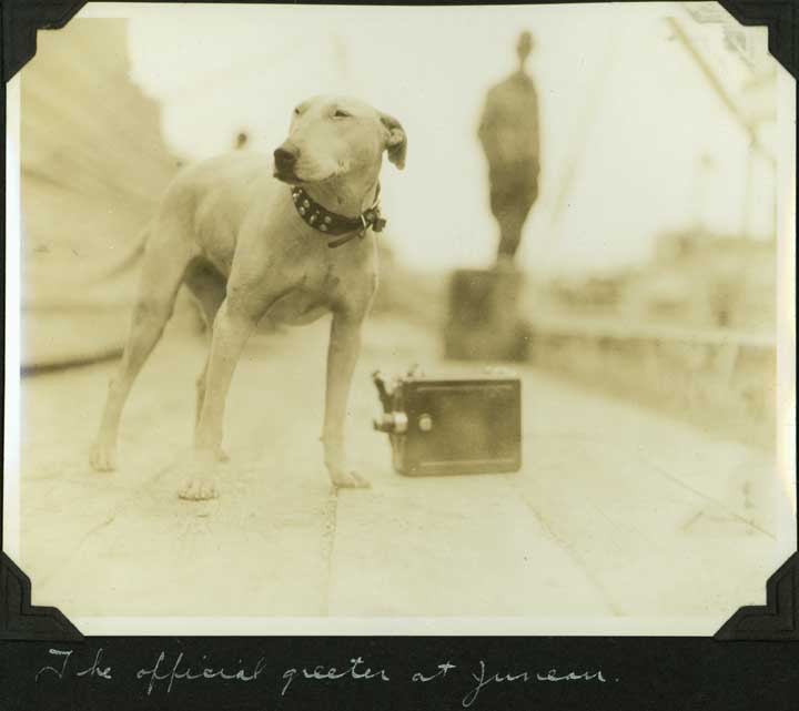 June 5th, 1935 | Dog Days in the Colony