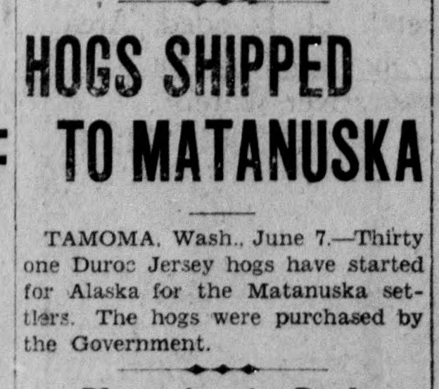 June 6th, 1935 | Hogs and Dogs Meeting